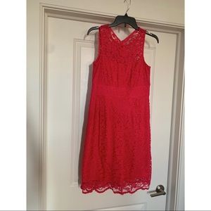 *⭐️ 3/$20* Donna Ricco Pink Lace Dress
